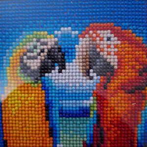 Parrot Diamond Painting